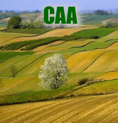 CAA